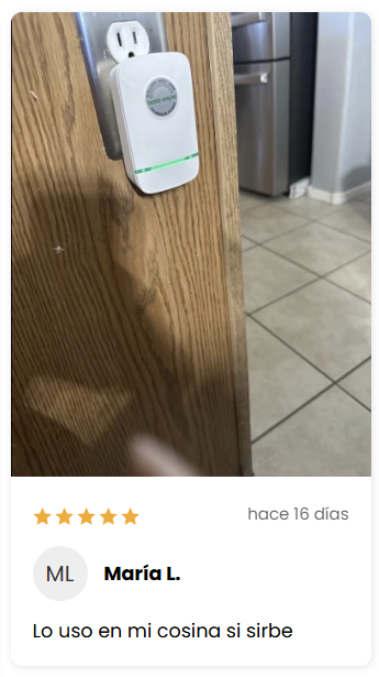 Reseña 1